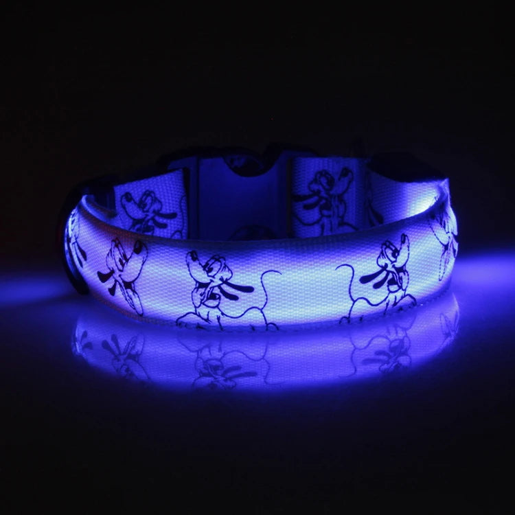 LED Luminous Dog Collar | Nylon Night Safety Collar with Breakaway Buckle