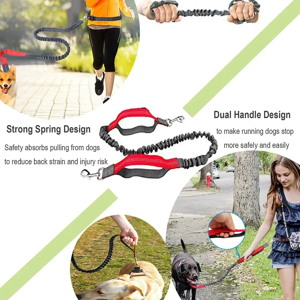 Retractable Dog Leash with Adjustable Waist Rope Hands Free Running Jogging Cycling