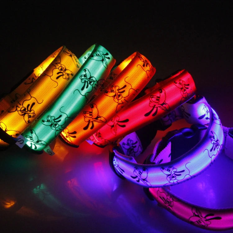 LED Luminous Dog Collar | Nylon Night Safety Collar with Breakaway Buckle