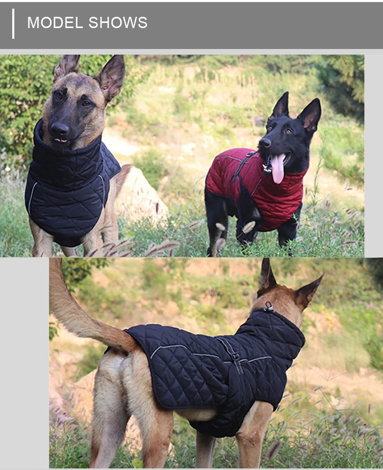 Dog Waterproof Reflective Winter Jacket | Warm Polyester Coat for Medium & Large Dogs | RUNGEAR