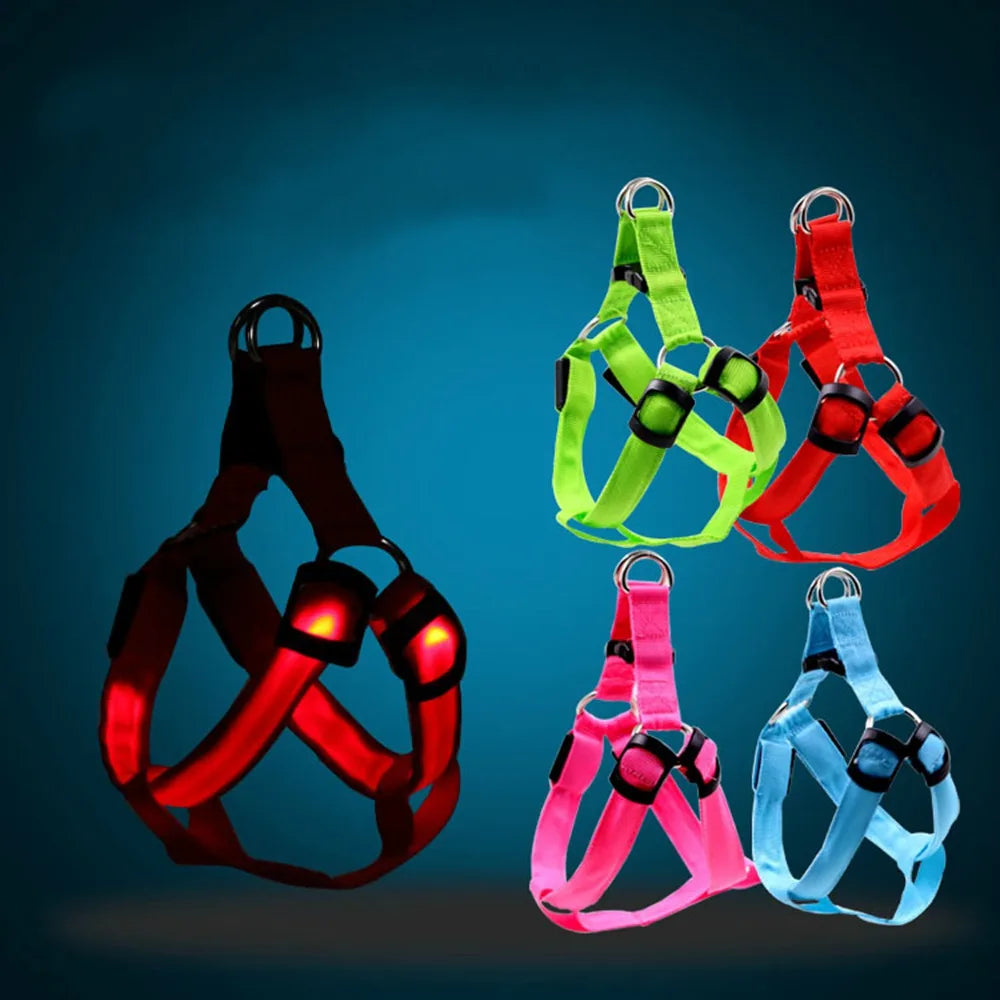 Dog Safety Gear: LED, Flashing Light, USB Rechargeable Chest Strap Harness XS, S, M, XL / Rungear