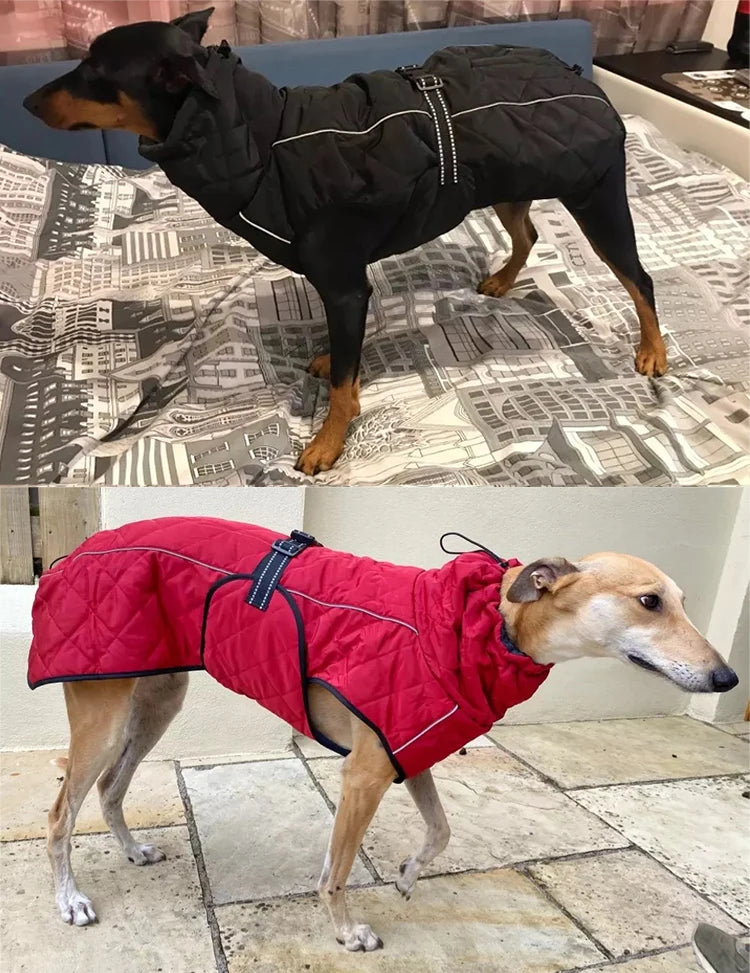 Dog Waterproof Reflective Winter Jacket | Warm Polyester Coat for Medium & Large Dogs | RUNGEAR