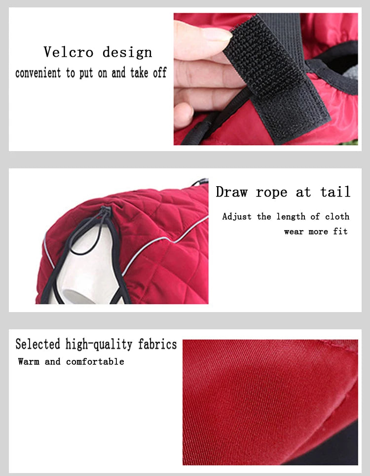 Dog Waterproof Reflective Winter Jacket | Warm Polyester Coat for Medium & Large Dogs | RUNGEAR