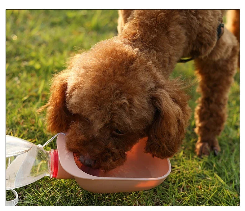 Portable Pet Water Bottle with Fold-Out Bowl – For Dogs & Cats