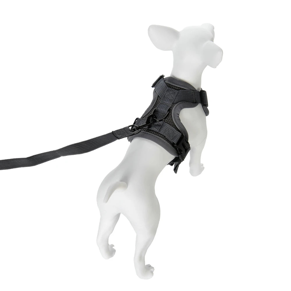 Reflective Running Dog Gear: Adjustable Harness Vest And Leash Set For Small To Medium Dogs / Rungear NZ