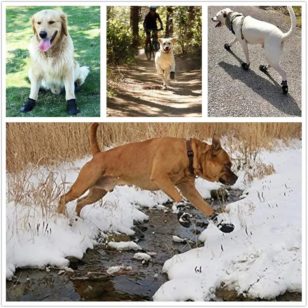 Waterproof Anti-Slip Rubber Dog Boots | Silica Gel Paw Protector Booties for Hot Pavement, Snow & Rain | RUNGEAR