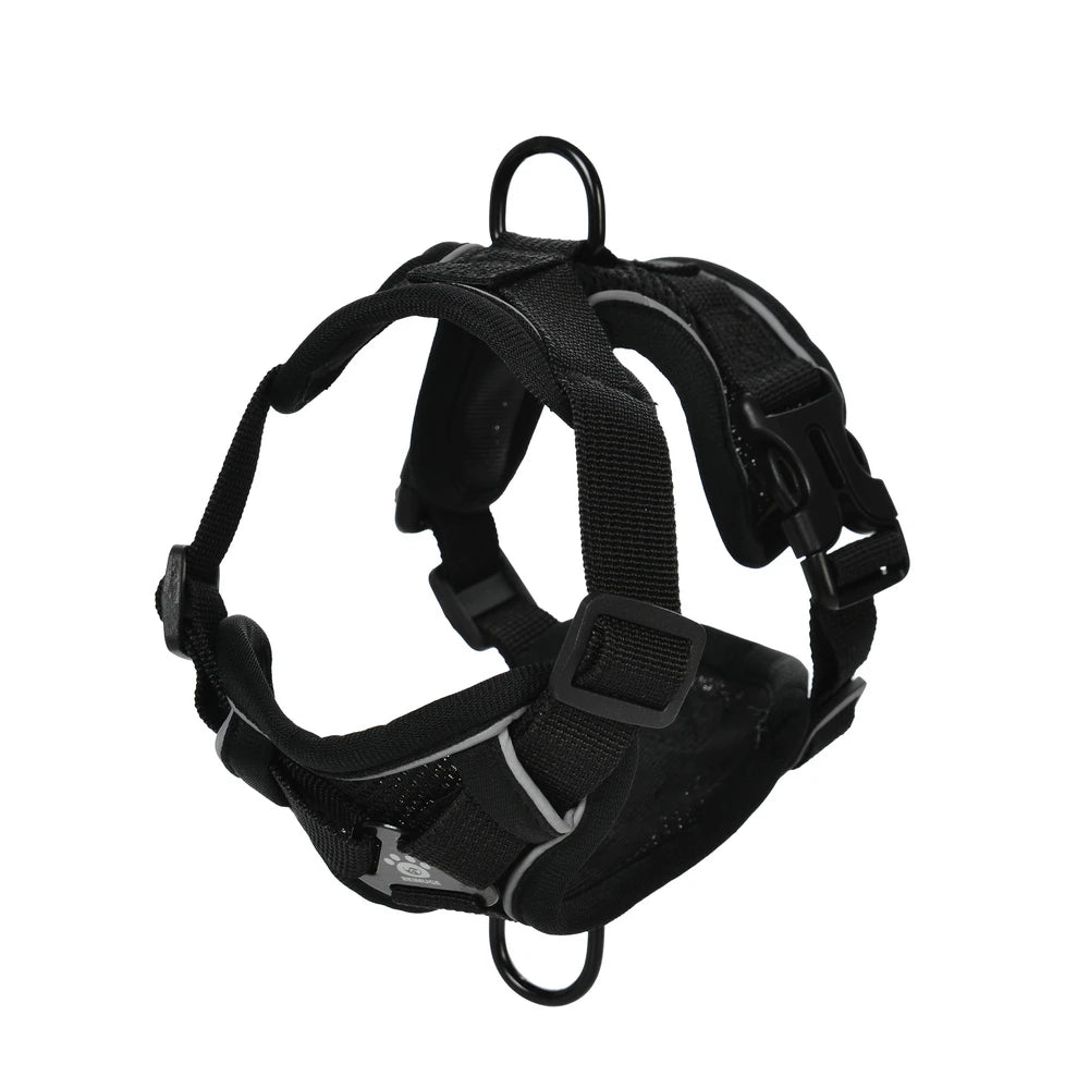 Reflective Running Dog Gear: Adjustable Harness Vest And Leash Set For Small To Medium Dogs / Rungear NZ