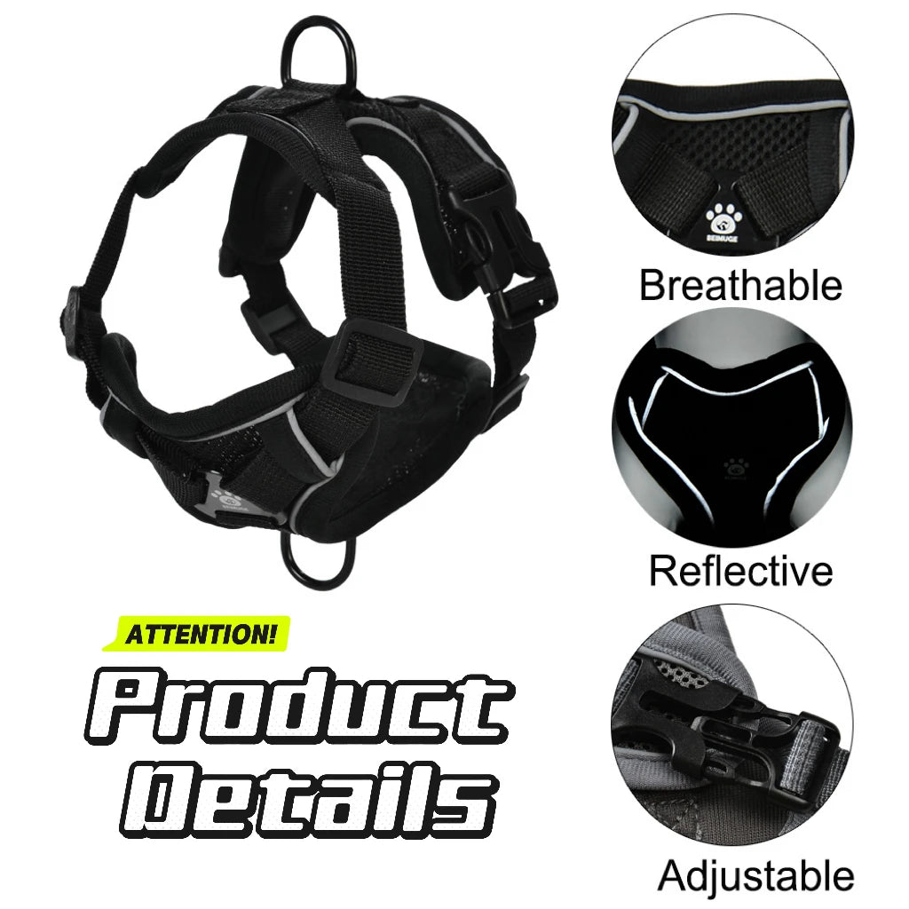 Reflective Running Dog Gear: Adjustable Harness Vest And Leash Set For Small To Medium Dogs / Rungear NZ