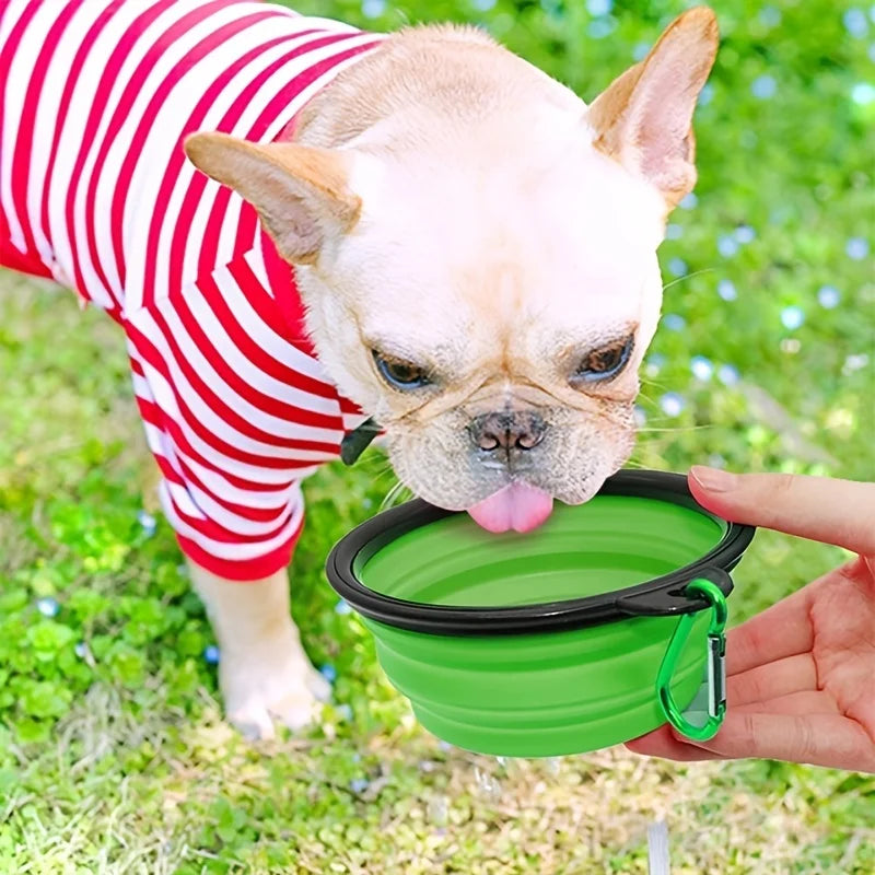 Collapsible Silicone Pet Travel Bowl with Carabiner Clip – 350ml | Dogs & Cats