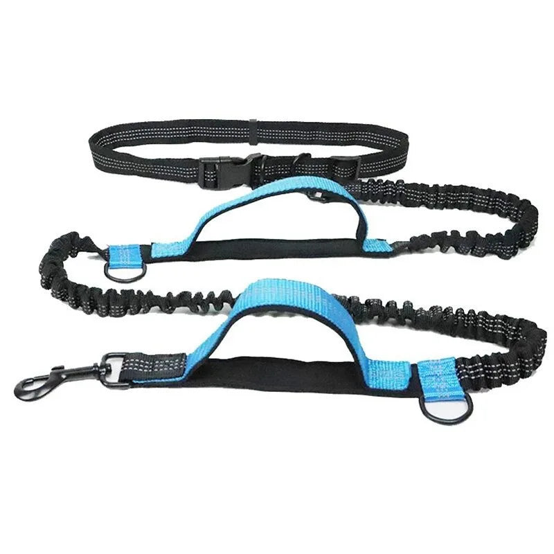 Dog Gear Accessories: Reflective, Hands Free, Retractable Belt Dog Leash with Adjustable Waist Rope For Outdoor Running / Rungear