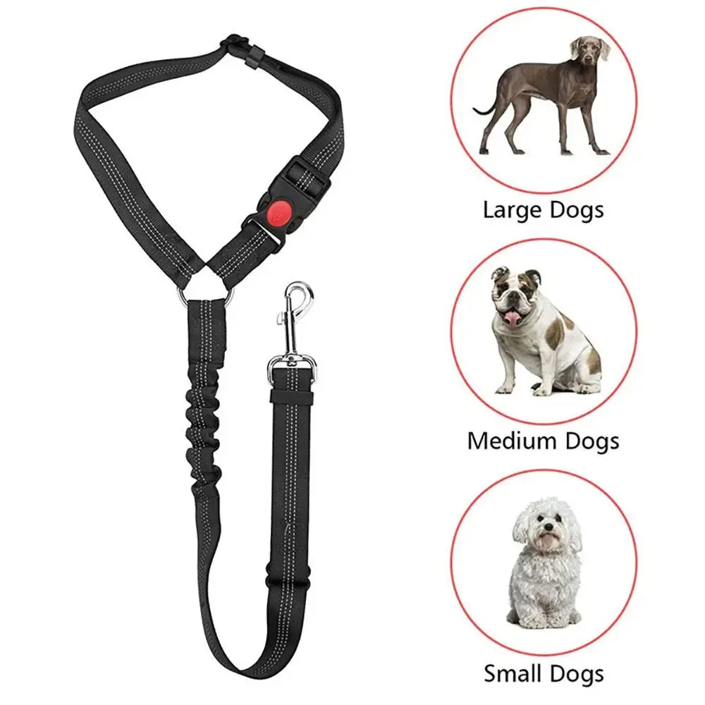2-in-1 Dog Car Safety Belt & Leash – Reflective Breakaway Adjustable Nylon Seatbelt for Small & Large Dogs | All Seasons