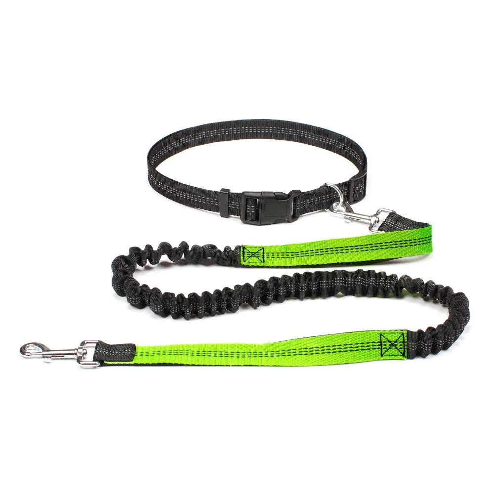 Hands-Free Dog Leash | Adjustable Waist Belt & Chest Strap for Walking, Running & Hiking