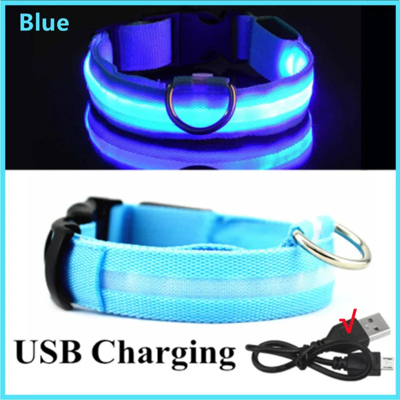 Pet Safety Gear: USB, Adjustable LED Rechargeable Safety Collar For Large Small Dogs / Rungear