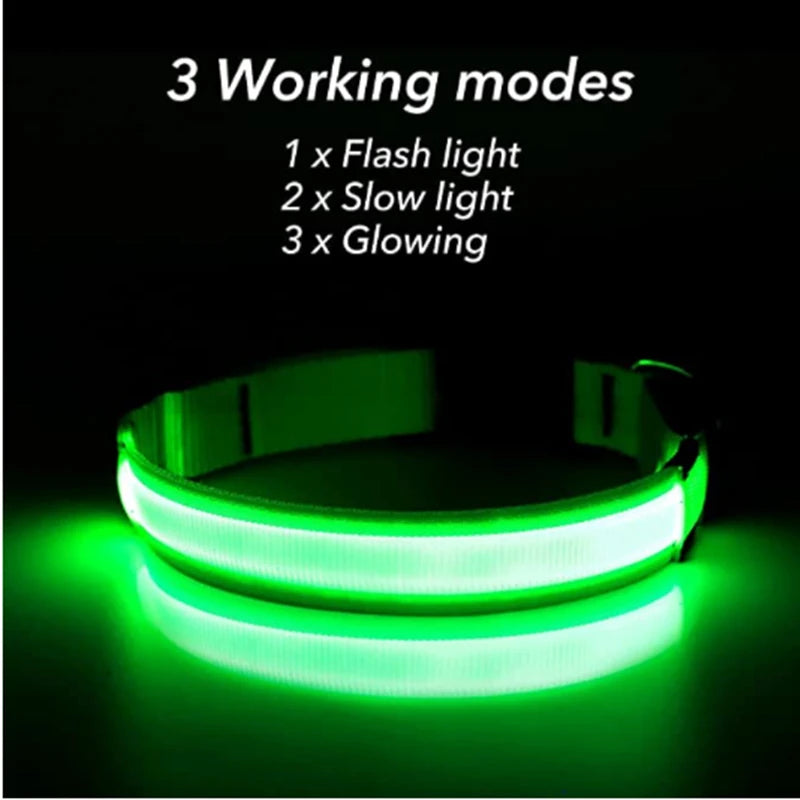 Pet Safety Gear: USB, Adjustable LED Rechargeable Safety Collar For Large Small Dogs / Rungear