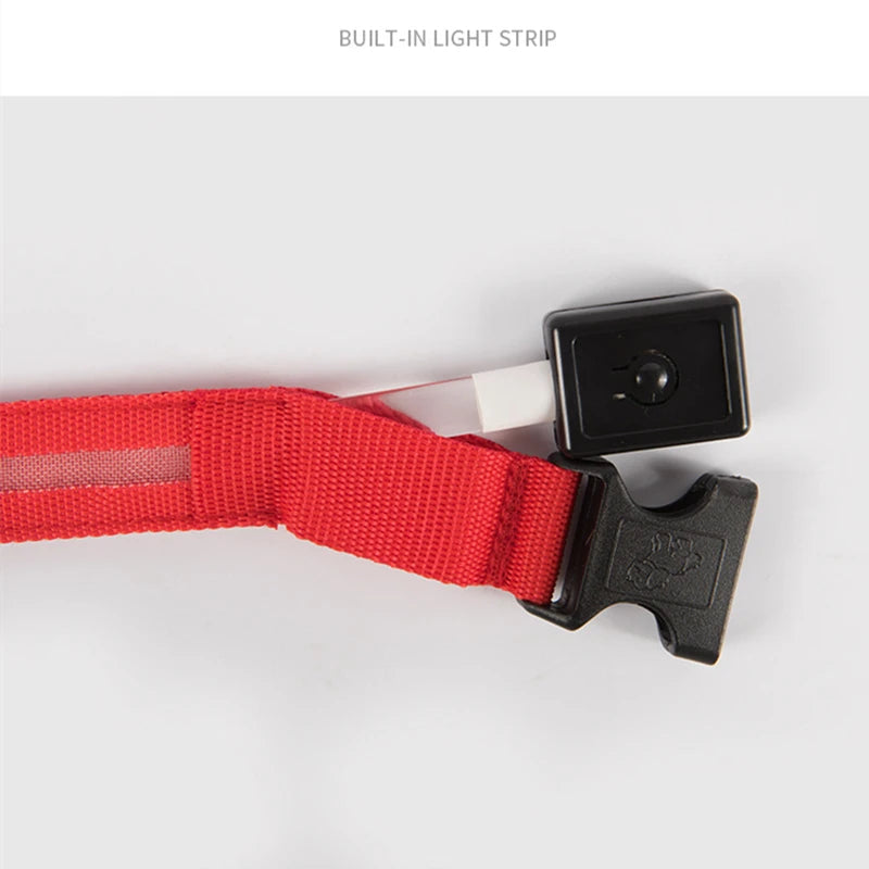 Pet Safety Gear: USB, Adjustable LED Rechargeable Safety Collar For Large Small Dogs / Rungear