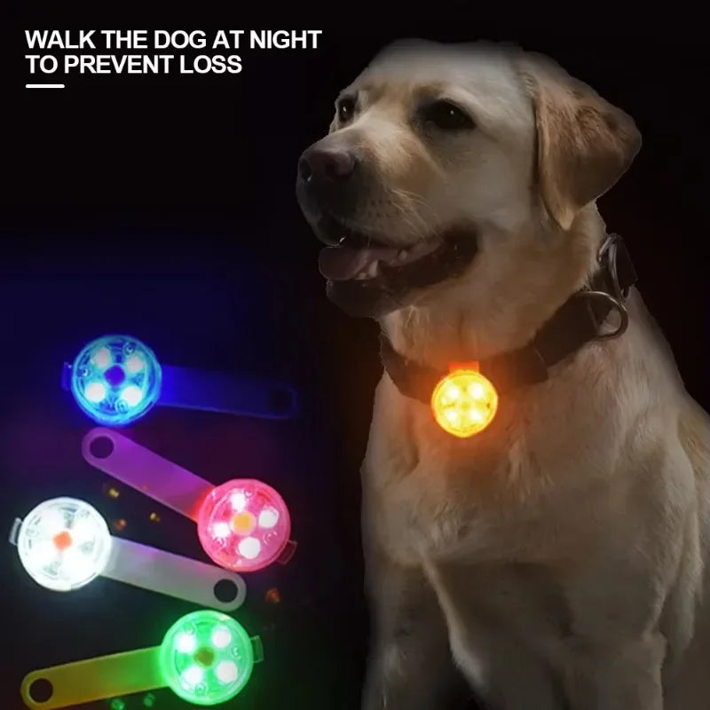 Weatherproof USB Rechargeable LED Dog Safety Light | Anti-Loss Luminous Collar Pendant