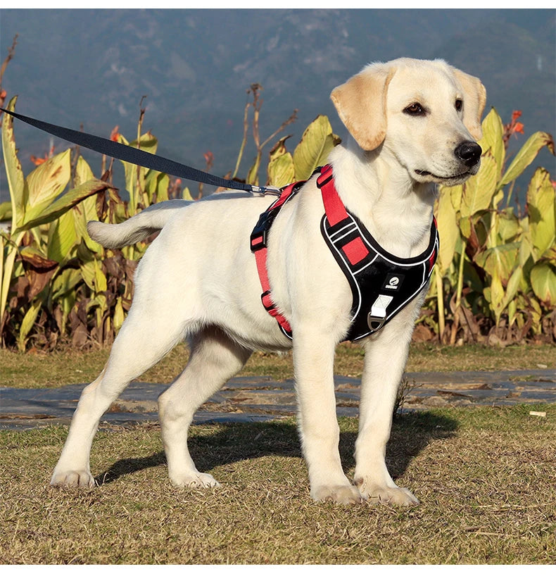 Reflective Oxford Cloth Dog Harness Vest | Adjustable Buckle for Medium & Large Dogs | S–XL