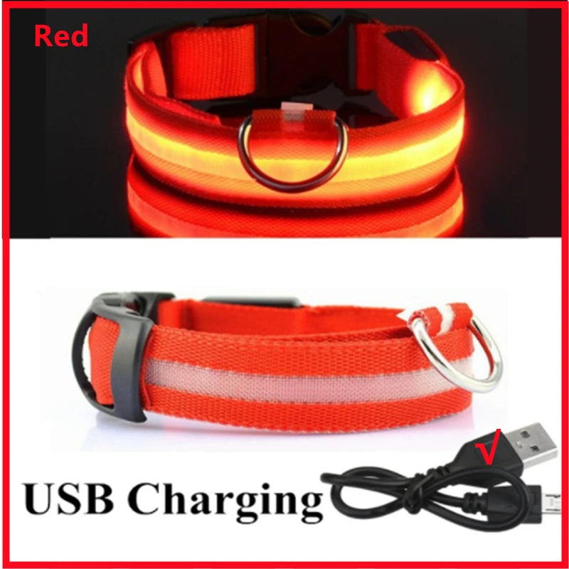 Pet Safety Gear: USB, Adjustable LED Rechargeable Safety Collar For Large Small Dogs / Rungear