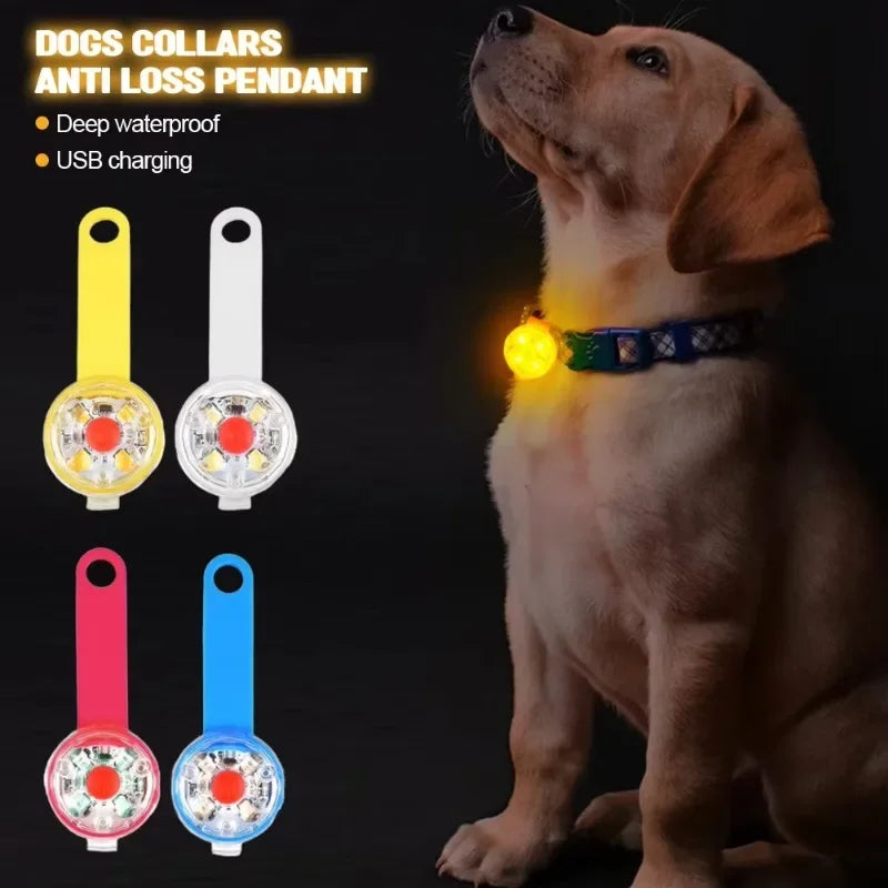 Dog Safety Gear: LED Pet Tracking Luminous Pendant, Weatherproof LED Safety Light USB Rechargeable Safety / Rungear
