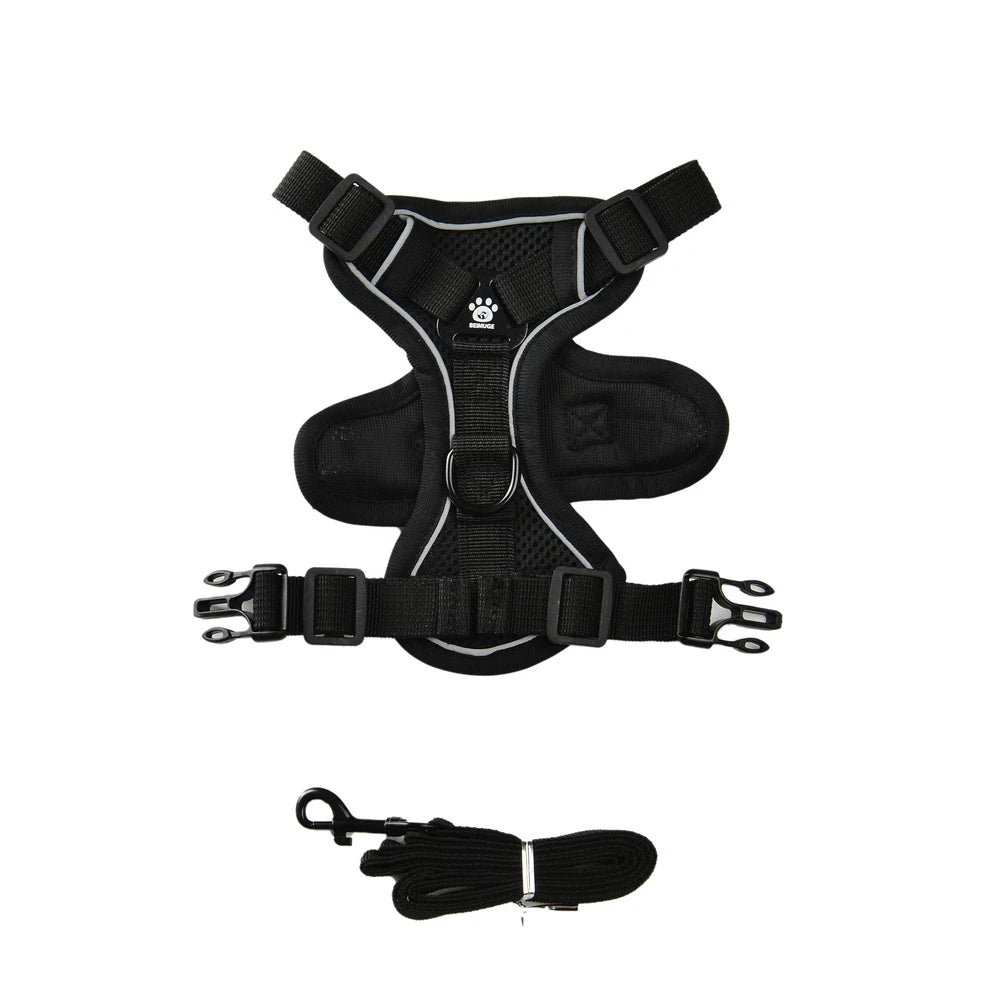 Reflective Running Dog Gear: Adjustable Harness Vest And Leash Set For Small To Medium Dogs / Rungear NZ
