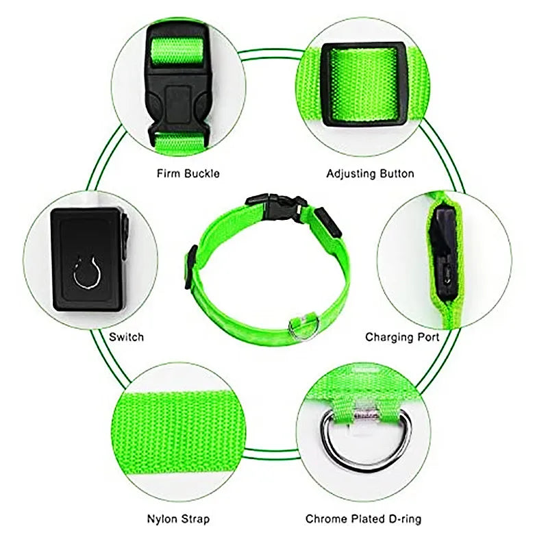 Pet Safety Gear: USB, Adjustable LED Rechargeable Safety Collar For Large Small Dogs / Rungear