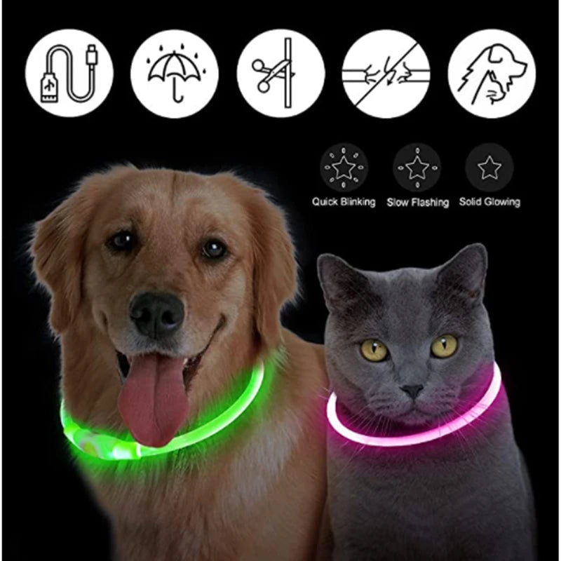 Pet Safety Gear: USB, Adjustable LED Rechargeable Safety Collar For Large Small Dogs / Rungear