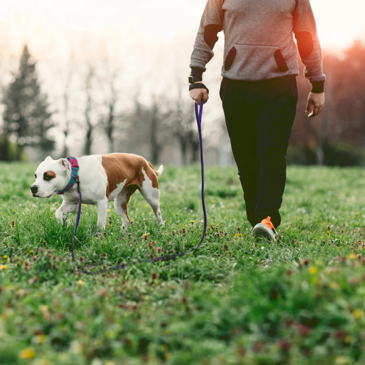 Coloured Dog Training Leash | Soft Fibre Lead in 6 Lengths & 8 Colours — 1.5M to 15M