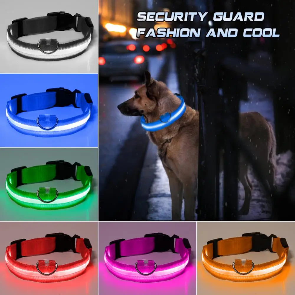 LED Glowing Dog Collar Adjustable Flashing Rechargea Luminous Collar Night Anti-Lost Dog Light HarnessFor Small Dog Pet Products