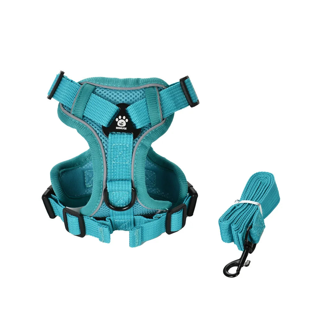 Reflective Running Dog Gear: Adjustable Harness Vest And Leash Set For Small To Medium Dogs / Rungear NZ