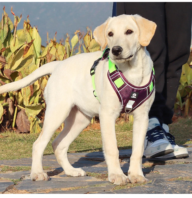 Reflective Oxford Cloth Dog Harness Vest | Adjustable Buckle for Medium & Large Dogs | S–XL
