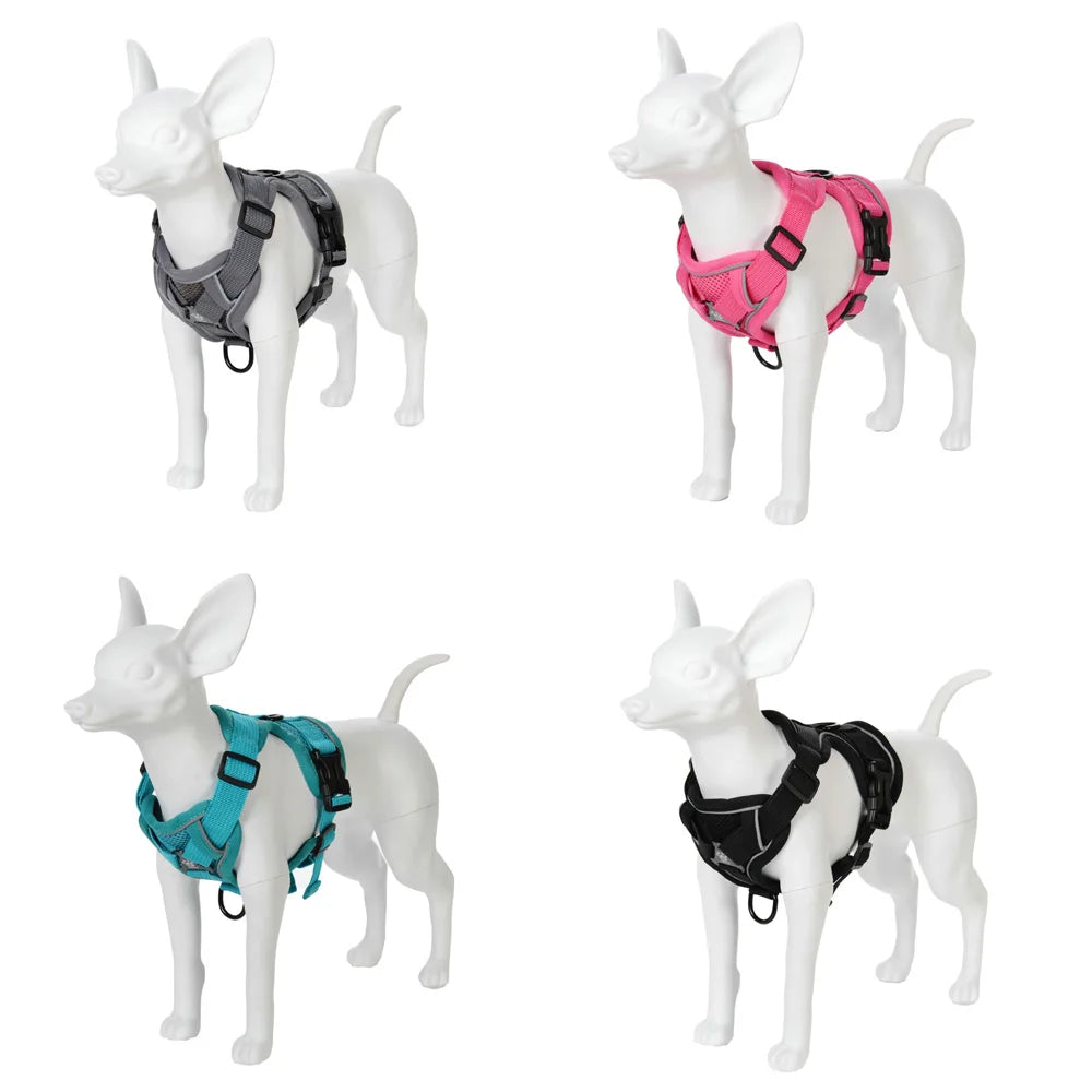 Reflective Running Dog Gear: Adjustable Harness Vest And Leash Set For Small To Medium Dogs / Rungear NZ