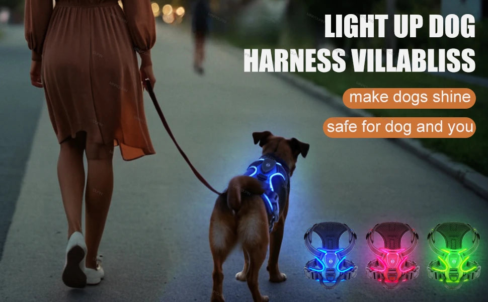 LED Rechargeable Luminous Dog Harness Essential for Dog Walking Safety at Night Dog Vest with Three LED Light Modes