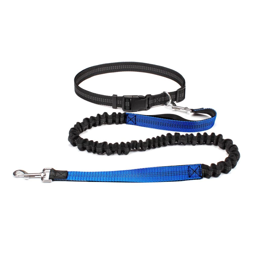 Dog Leash Accessories: Hands Free, Adjustable, Waist Belt and Chest Strap Dog Leash for Pet Walking, Running, Hiking / Rungear