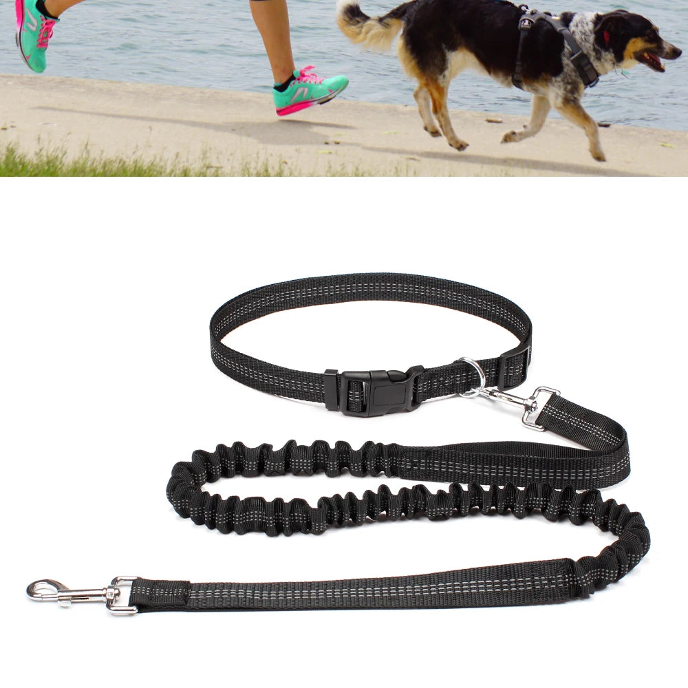 Hands-Free Dog Leash | Adjustable Waist Belt & Chest Strap for Walking, Running & Hiking