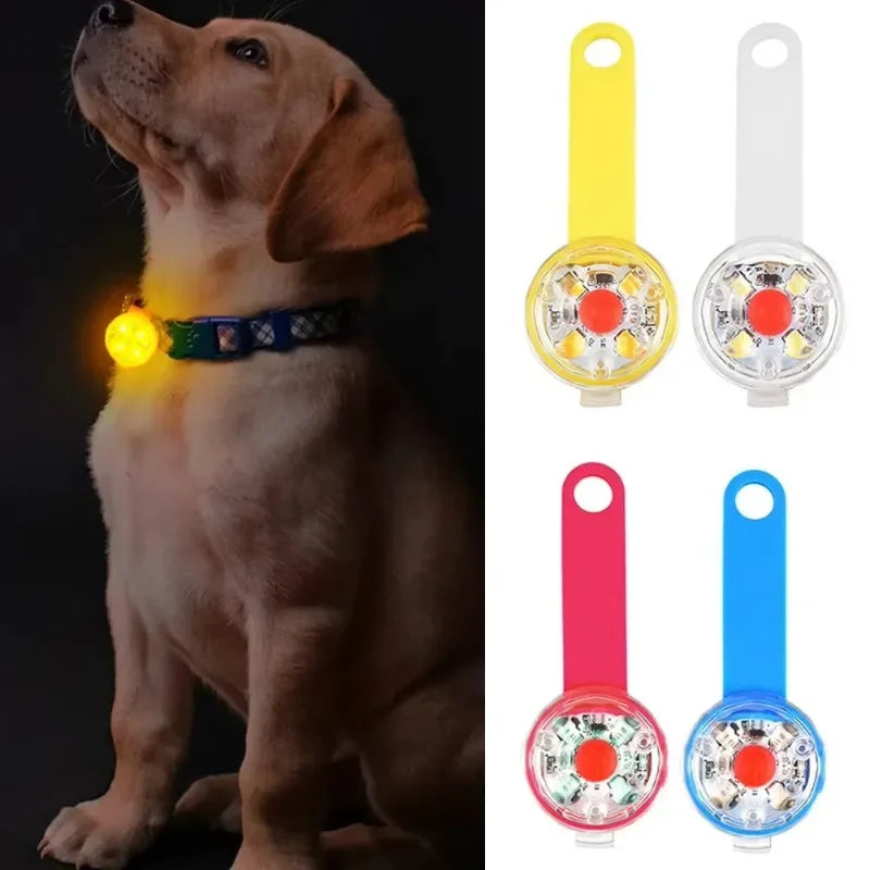 Weatherproof USB Rechargeable LED Dog Safety Light | Anti-Loss Luminous Collar Pendant