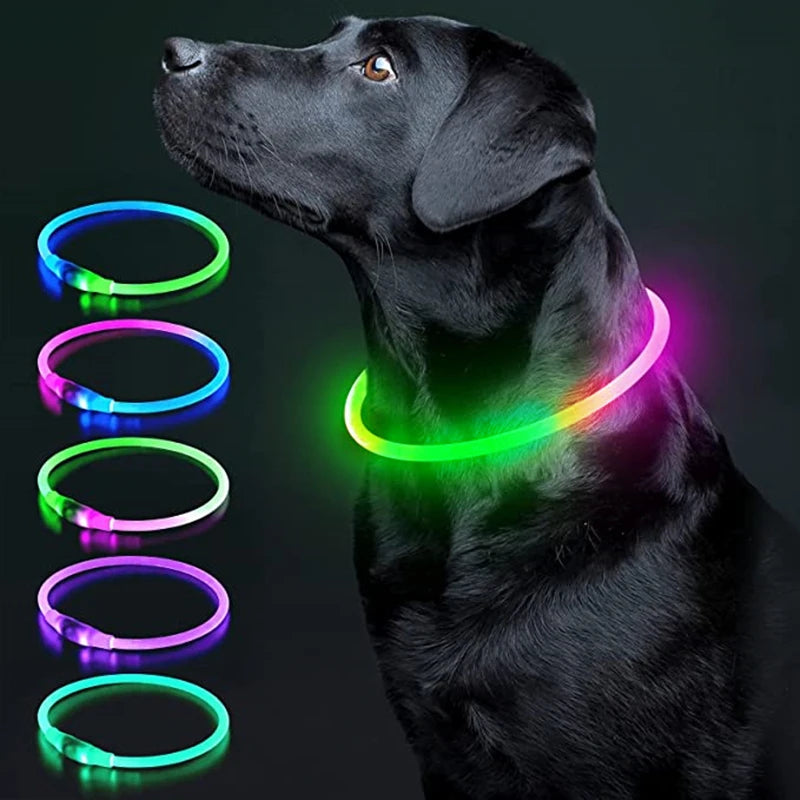 Pet Safety Gear: USB, Adjustable LED Rechargeable Safety Collar For Large Small Dogs / Rungear