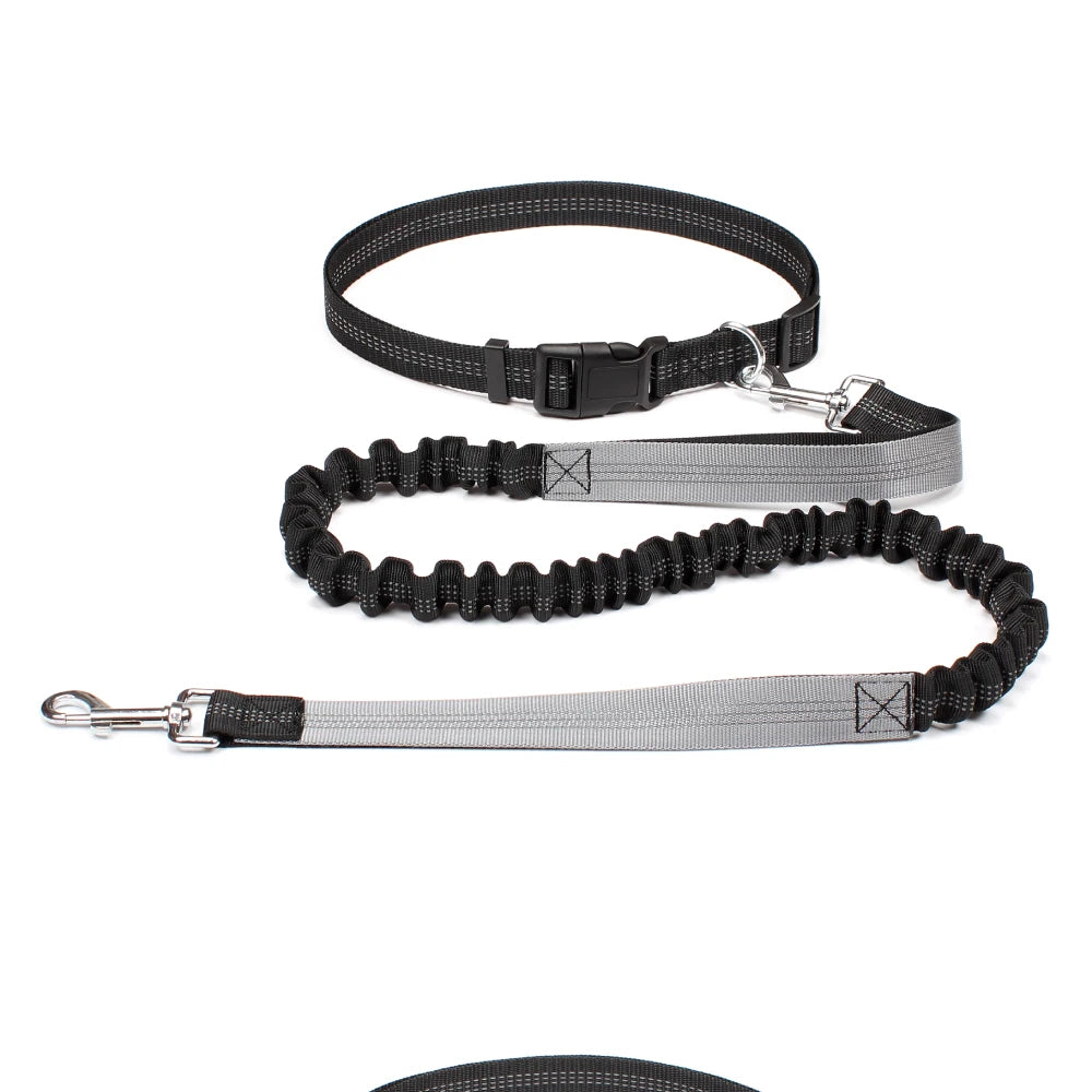 Hands-Free Dog Leash | Adjustable Waist Belt & Chest Strap for Walking, Running & Hiking