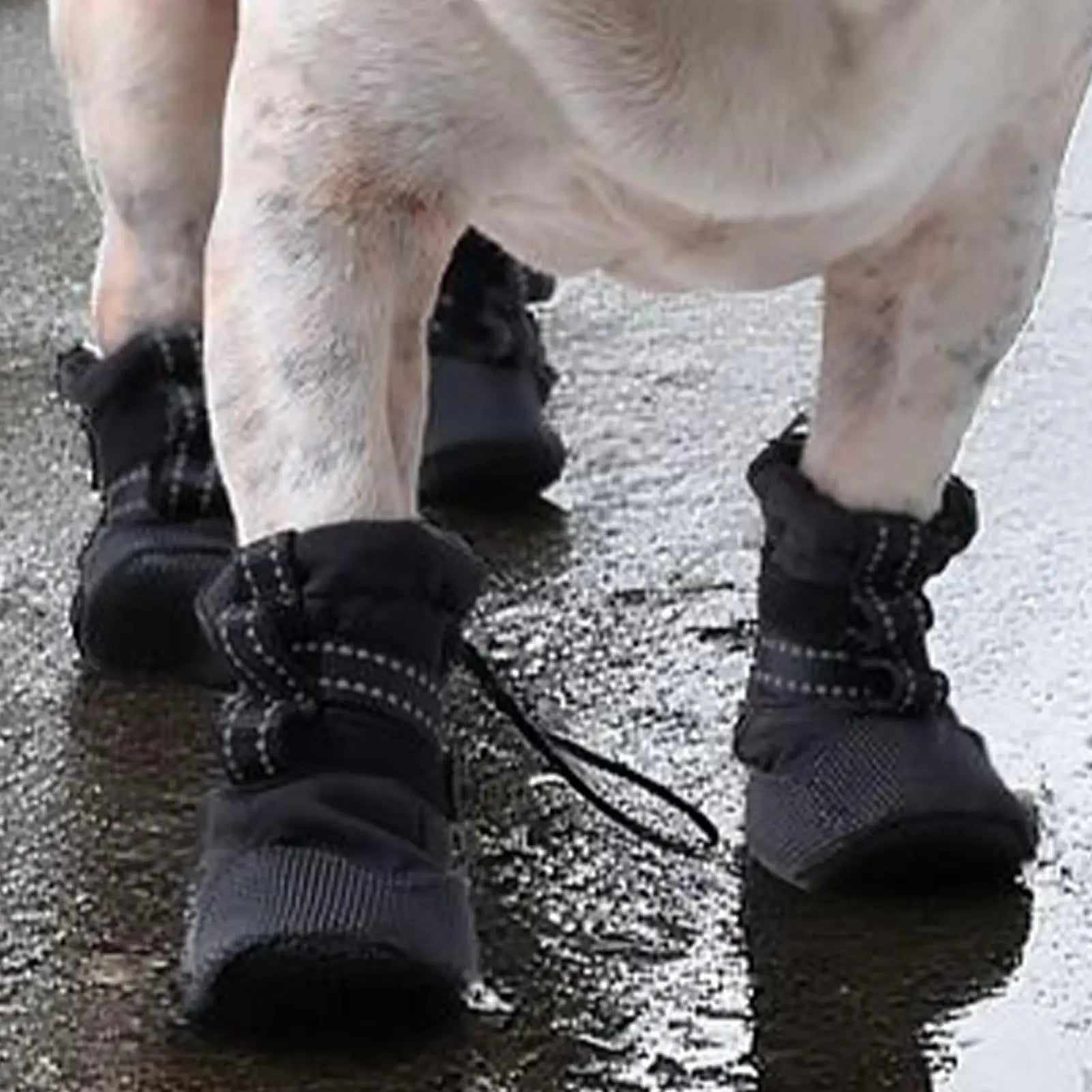 Dog Boots 4PC Set – Wool Anti-Slip Protective Booties for Medium & Large Dogs | Wound Recovery, Hiking, Outdoor & Beach