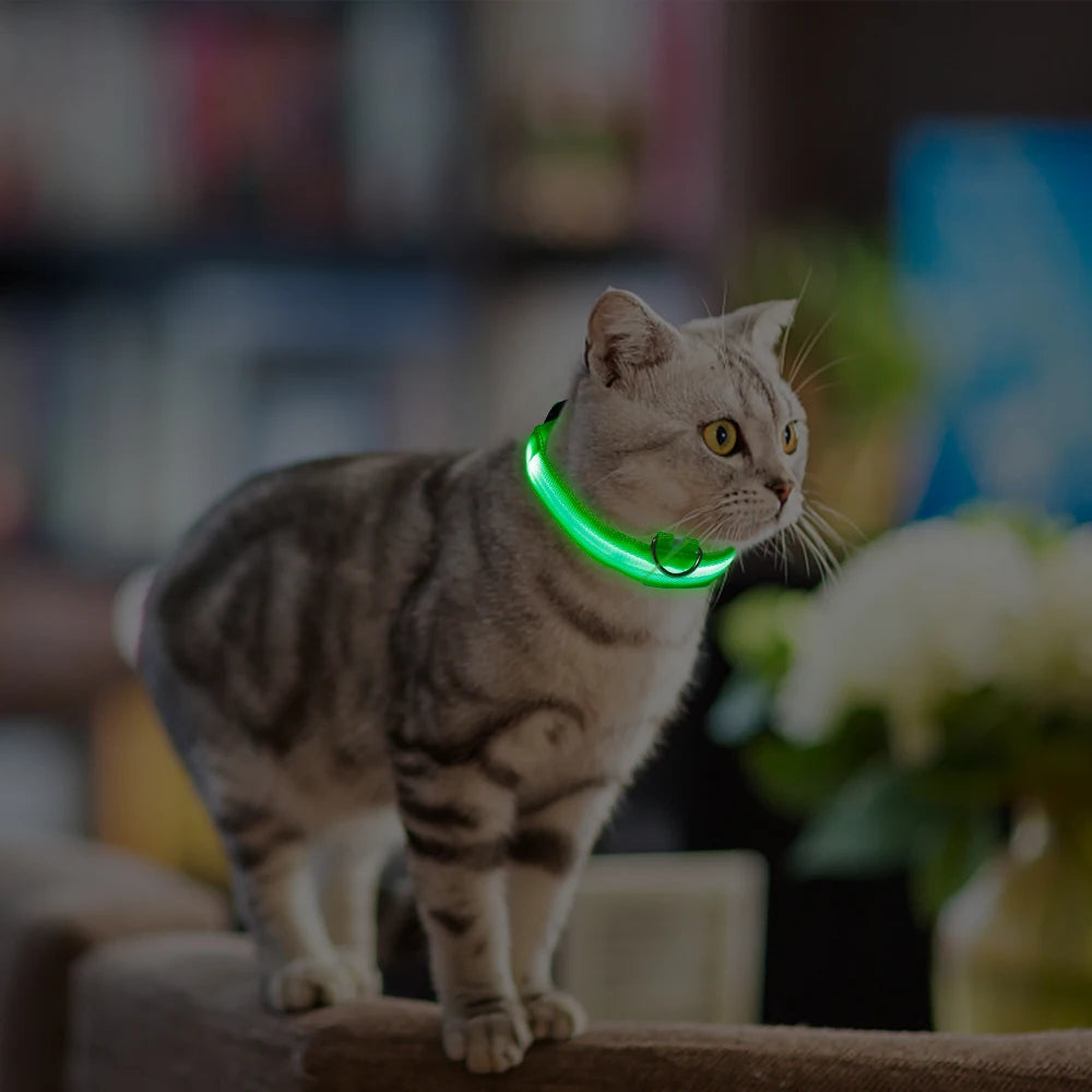 LED Glowing Dog Collar Adjustable Flashing Rechargea Luminous Collar Night Anti-Lost Dog Light HarnessFor Small Dog Pet Products