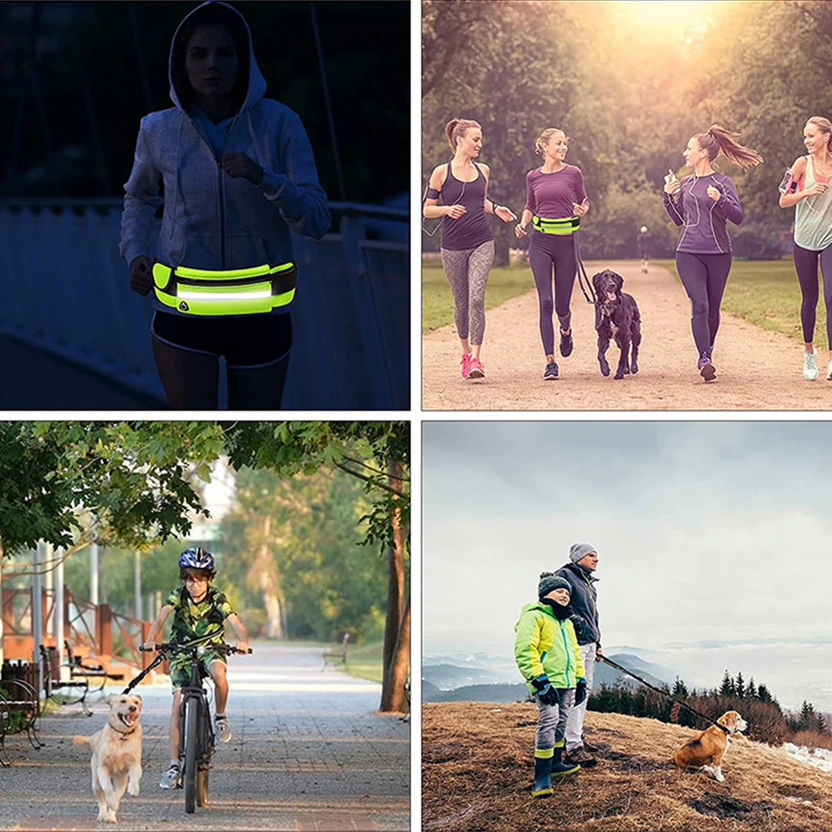 Hands-Free Dog Leash with Waist Bag – Reflective Retractable Elastic Belt for Running & Hiking | Quick Release | 3 Colours