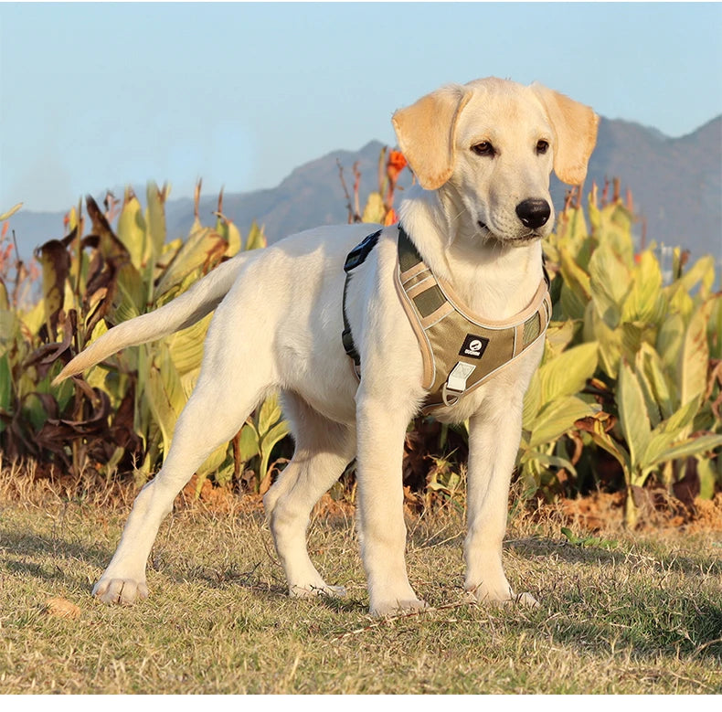 Reflective Oxford Cloth Dog Harness Vest | Adjustable Buckle for Medium & Large Dogs | S–XL