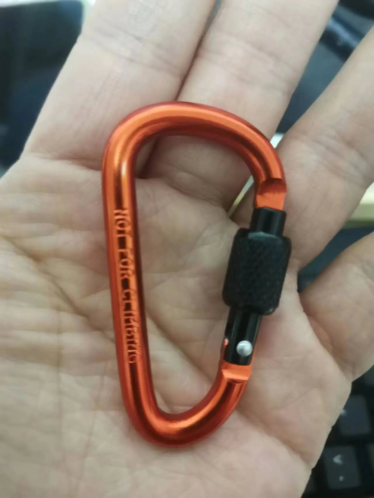 Aluminium D-Ring Locking Carabiner | Screw-Lock Clip for Hiking & Camping