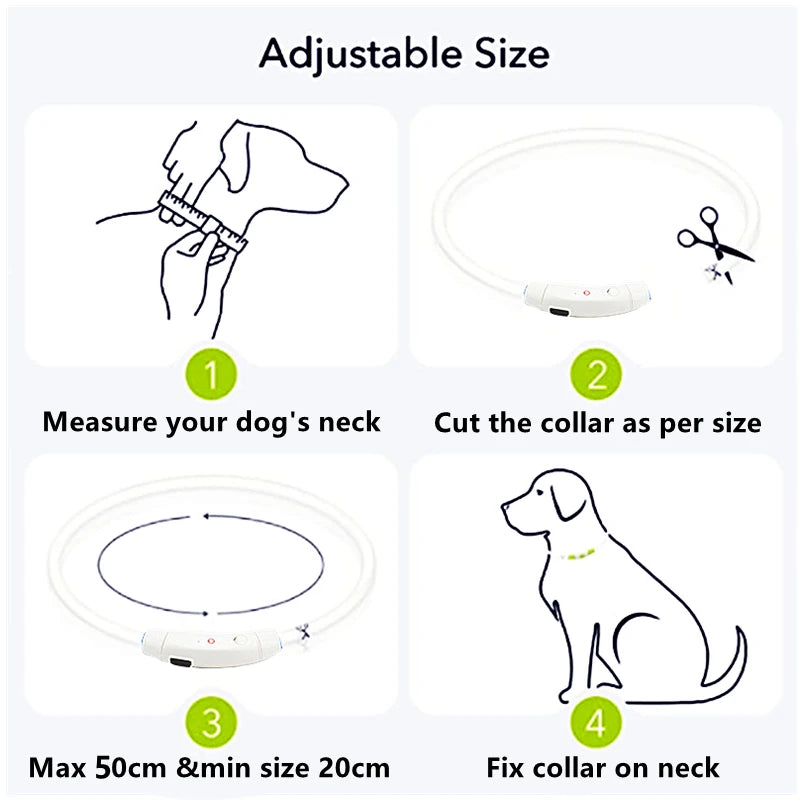 Pet Safety Gear: USB, Adjustable LED Rechargeable Safety Collar For Large Small Dogs / Rungear
