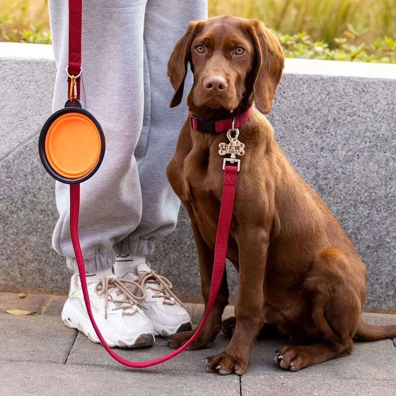Collapsible Silicone Pet Travel Bowl with Carabiner Clip – 350ml | Dogs & Cats