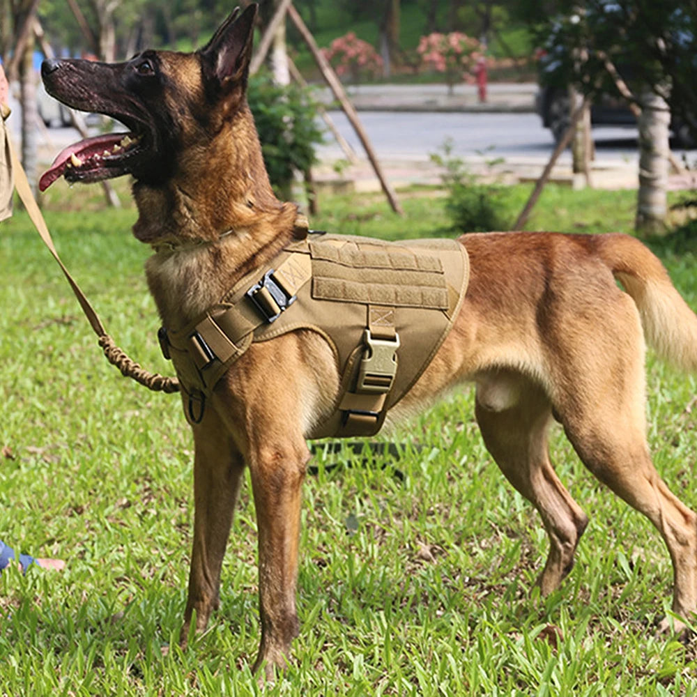 Tactical Military Dog Harness | Padded, Quick-Release Vest for Medium & Large Dogs | S–XL