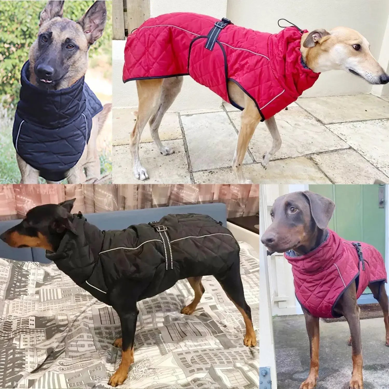 Dog Waterproof Reflective Winter Jacket | Warm Polyester Coat for Medium & Large Dogs | RUNGEAR