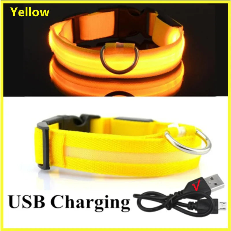 Pet Safety Gear: USB, Adjustable LED Rechargeable Safety Collar For Large Small Dogs / Rungear