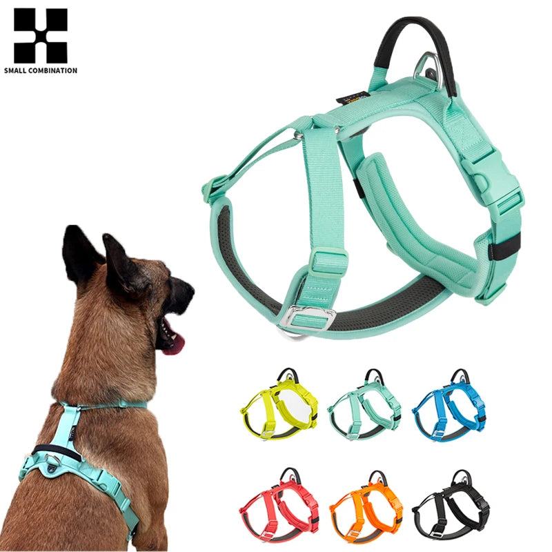Dog Gear Accessories: SMALL COMBINATION No Pull, Nylon, Adjustable, Reflective, Comfortable, Dog Control Harness / Rungear