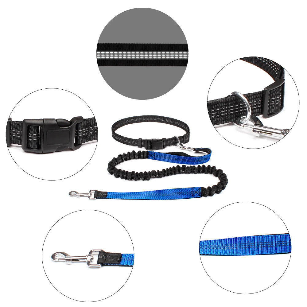 Hands-Free Dog Leash | Adjustable Waist Belt & Chest Strap for Walking, Running & Hiking