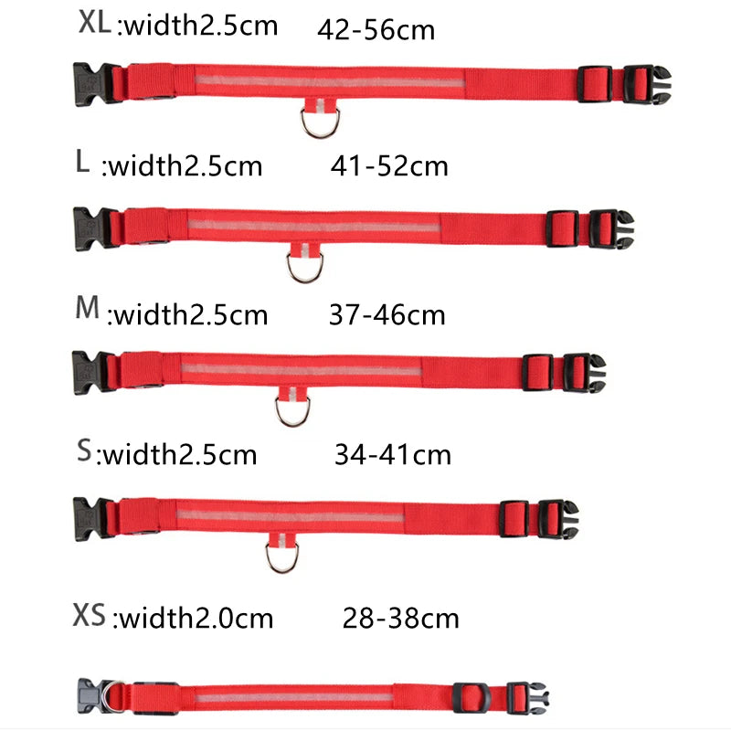Pet Safety Gear: USB, Adjustable LED Rechargeable Safety Collar For Large Small Dogs / Rungear